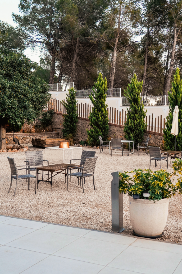 truelink world gourmet wine and spanish cooperation bodega sendra gonzalez altea10