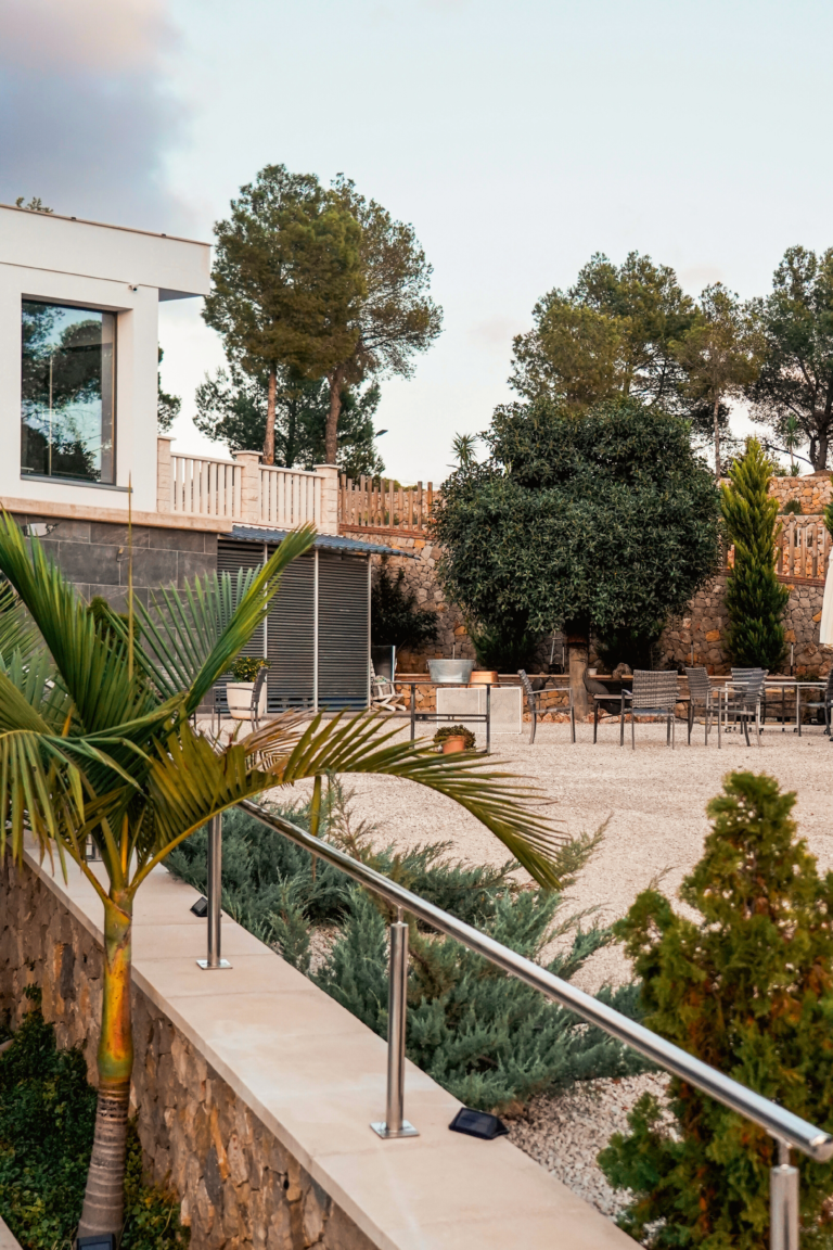 truelink world gourmet wine and spanish cooperation bodega sendra gonzalez altea11