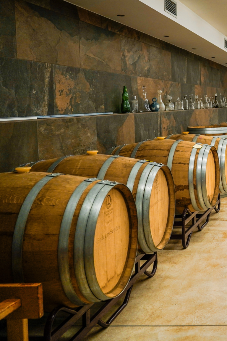 truelink world gourmet wine and spanish cooperation bodega sendra gonzalez altea2