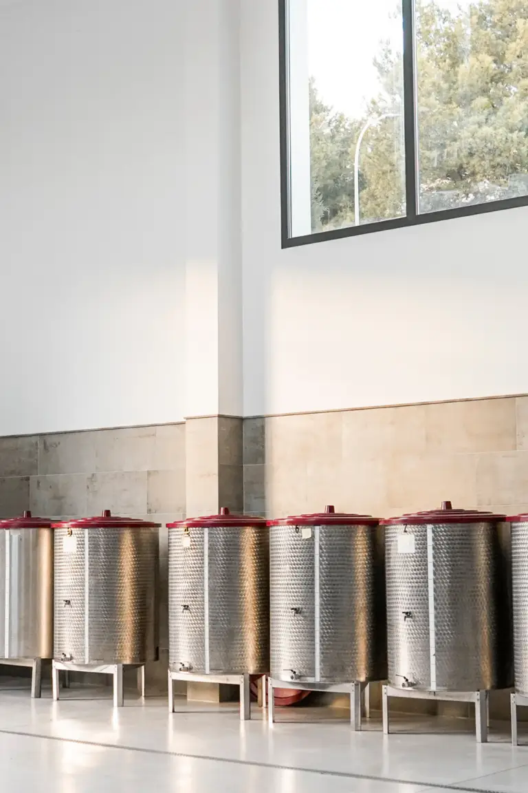 truelink world gourmet wine and spanish cooperation bodega sendra gonzalez altea5